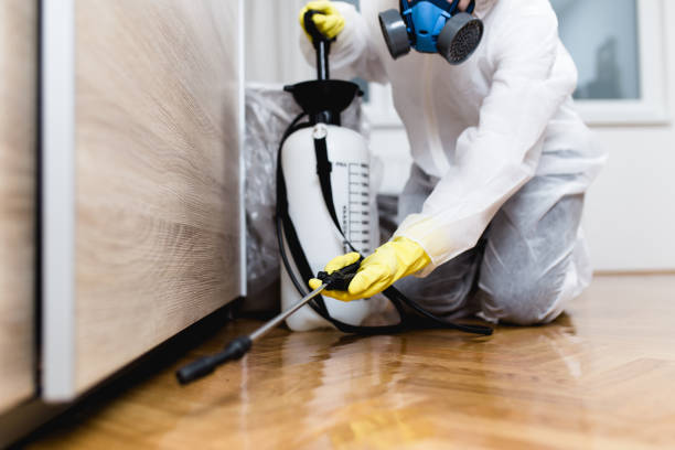 Best Local Pest Control Services  in Hutchinson Island South, FL