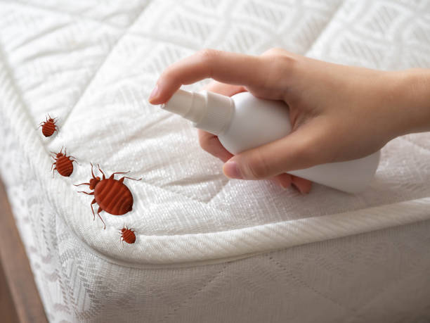 Pest Control for Restaurants in Hutchinson Island South, FL