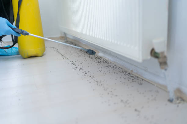 Hutchinson Island South, FL Pest Control Company